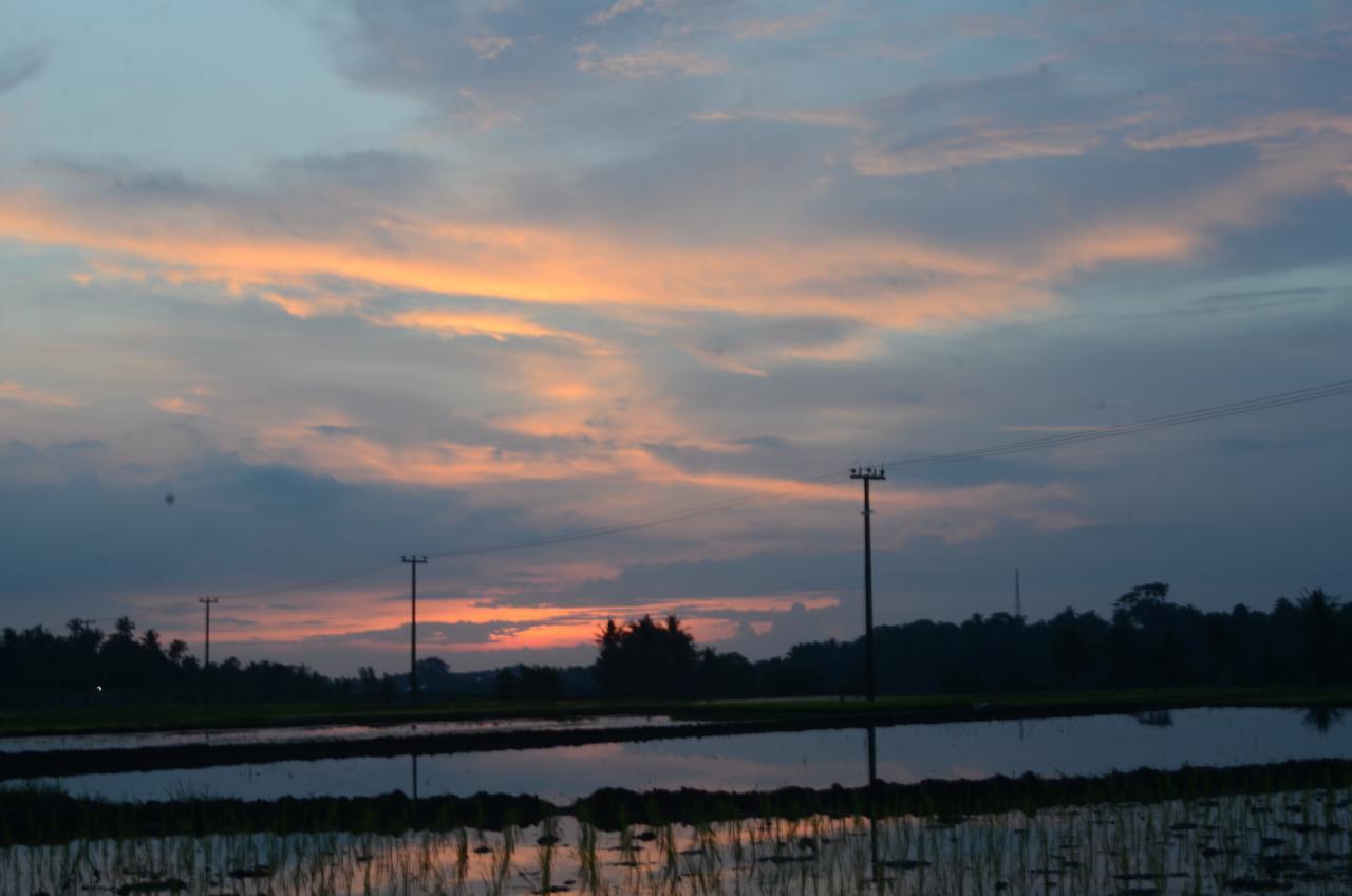 Beluran Serene Guesthouse Selemadeg Buitenkant foto